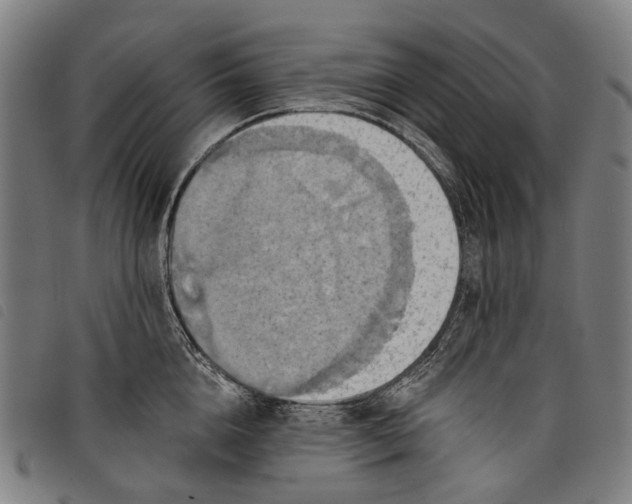 X0000097830856200804041420