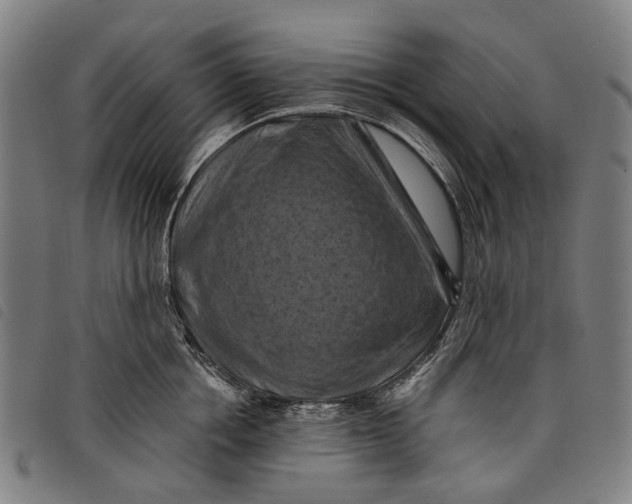 X0000097830858200804041420