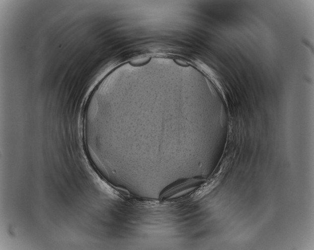 X0000097830859200804041420