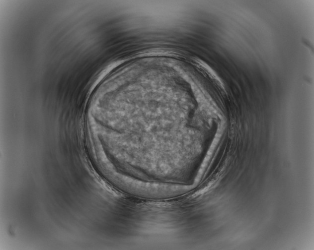 X0000097830860200804041420