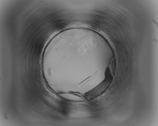 X0000097830864200804041420