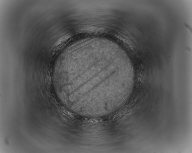 X0000097830869200804041419