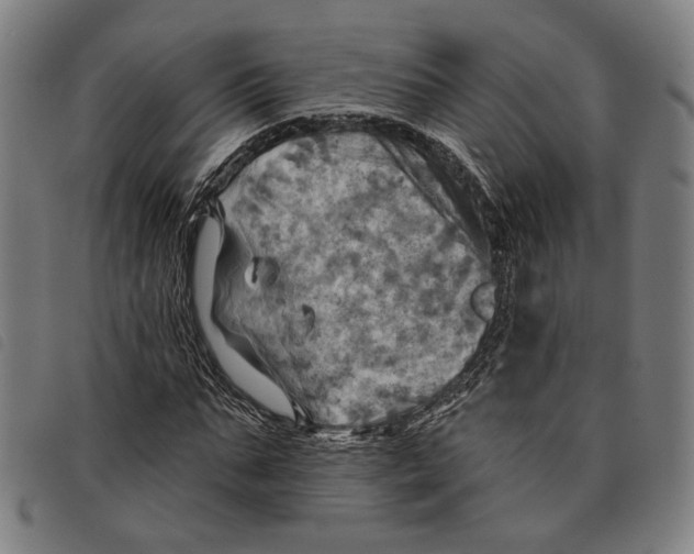 X0000097830871200804041419