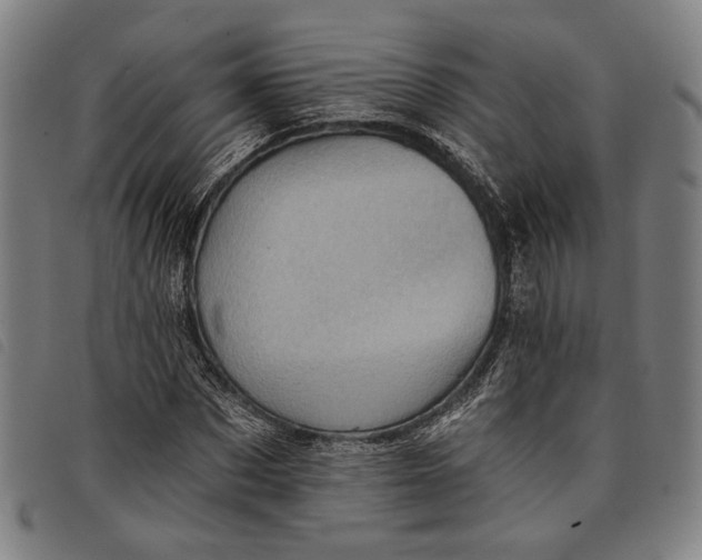 X0000097830873200804041419