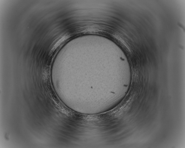 X0000097830874200804041419