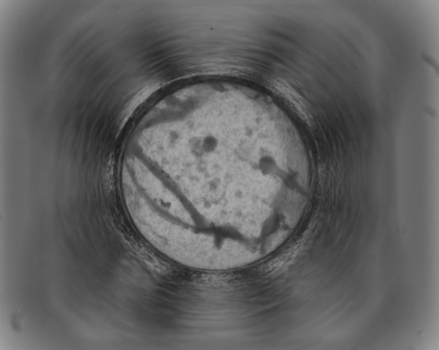 X0000097830875200804041419