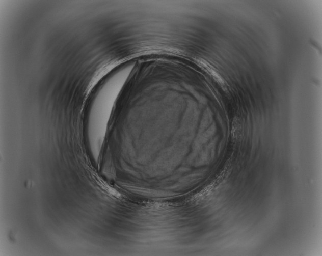 X0000097830877200804041419