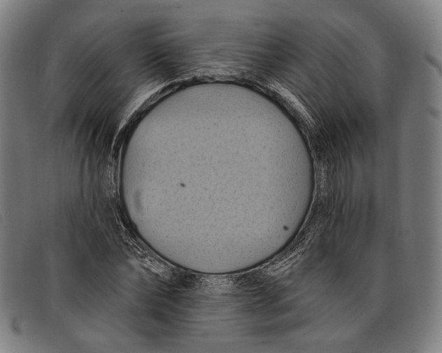 X0000097830878200804041419