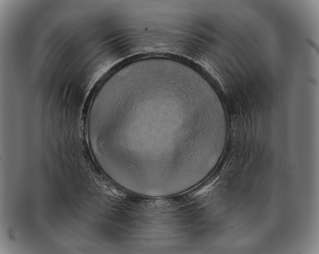 X0000097830879200804041419