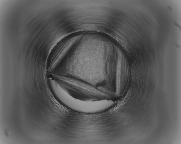 X0000097830880200804041419