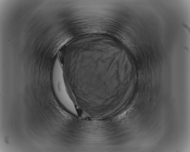 X0000097830881200804041419