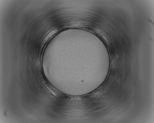 X0000097830882200804041419