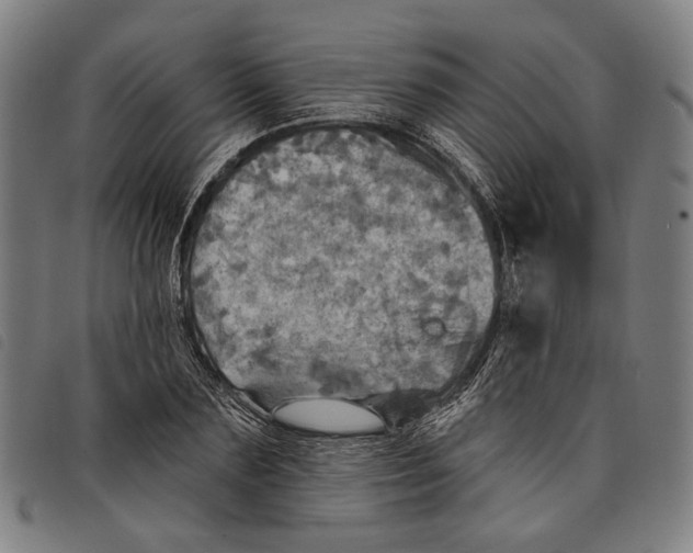 X0000097830883200804041419