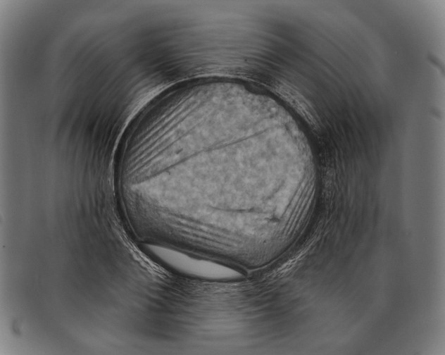 X0000097830884200804041419