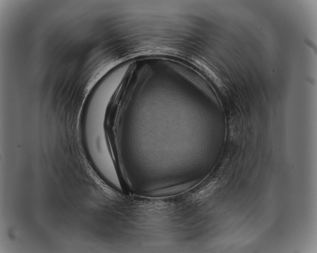 X0000097830885200804041419