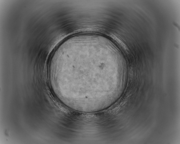 X0000097830886200804041419