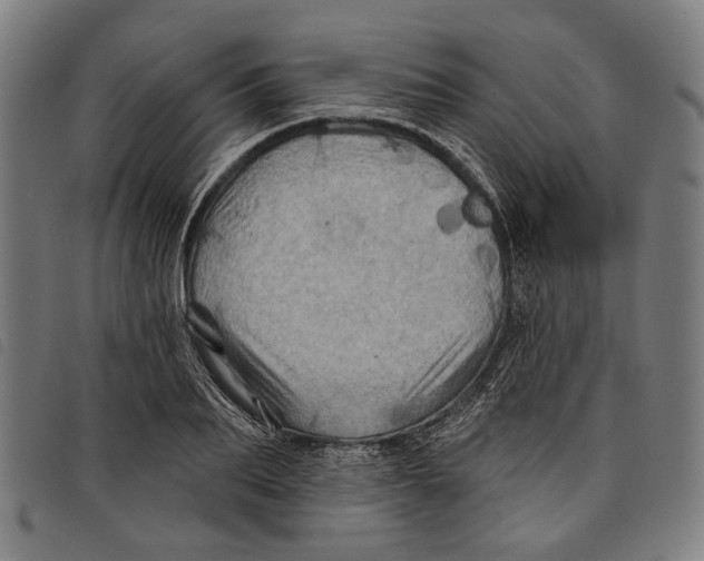 X0000097830887200804041419