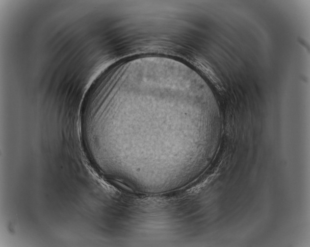 X0000097830888200804041419