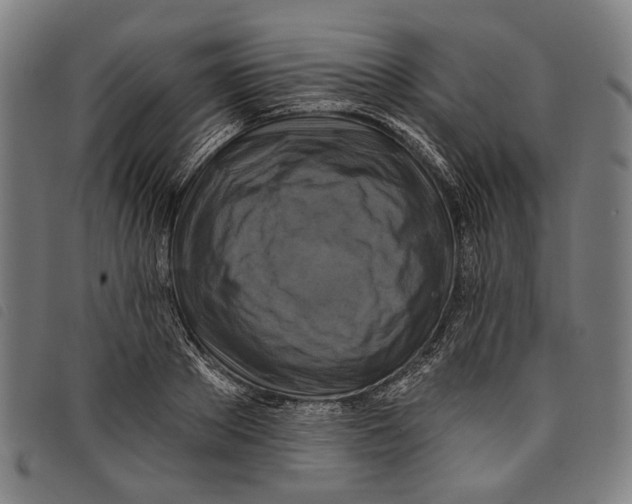 X0000097830889200804041419