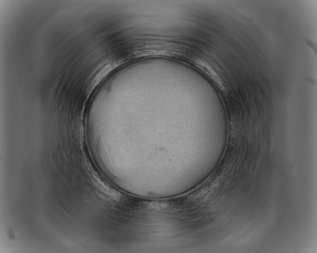 X0000097830890200804041419