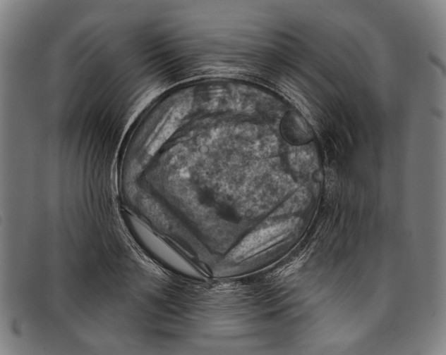 X0000097830891200804041419