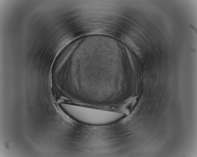 X0000097830892200804041419