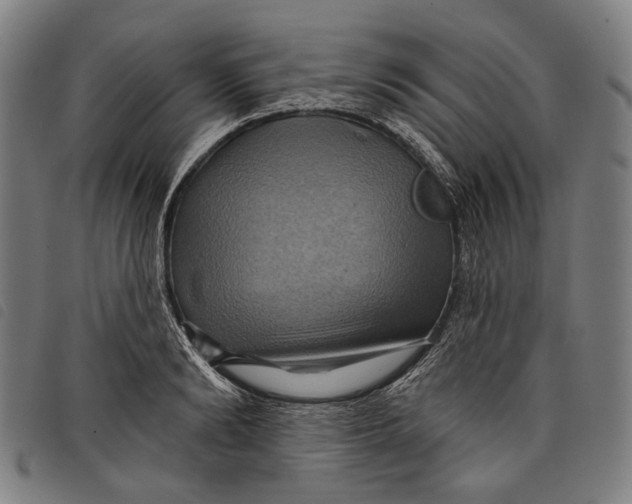 X0000097830894200804041419