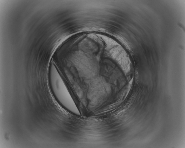 X0000097830895200804041419