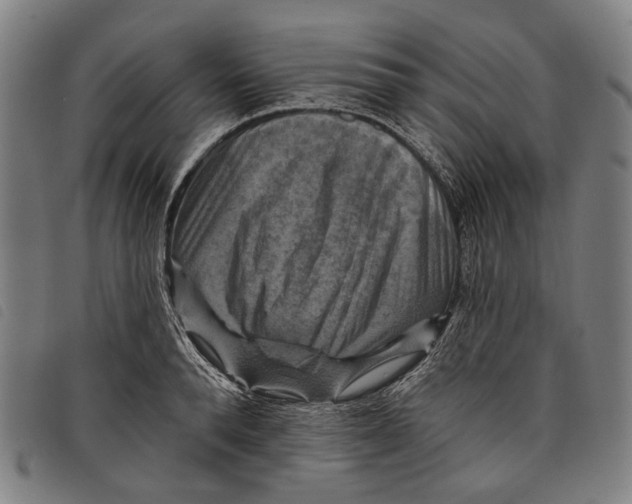 X0000097830896200804041419