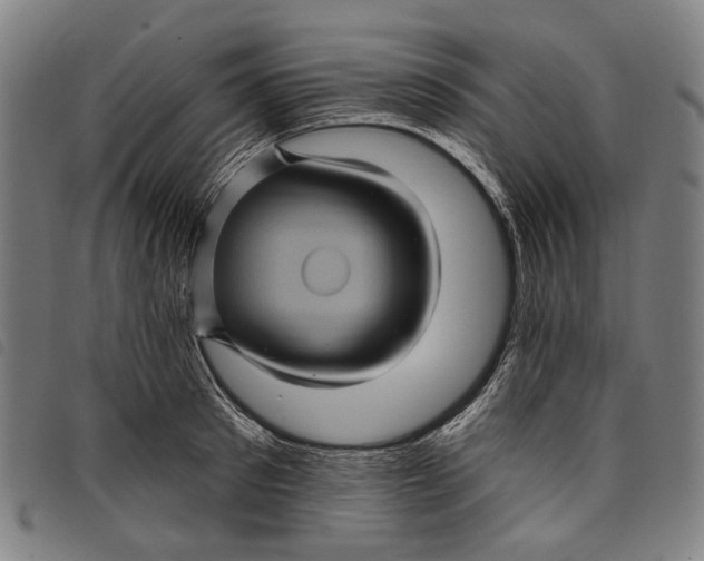 X0000097830897200804041419