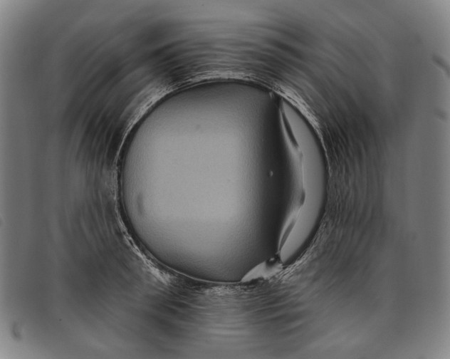 X0000097830898200804041419