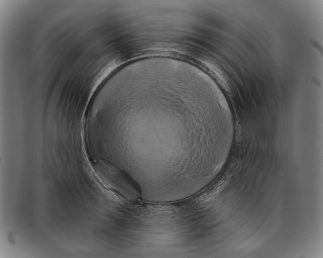 X0000097830899200804041419