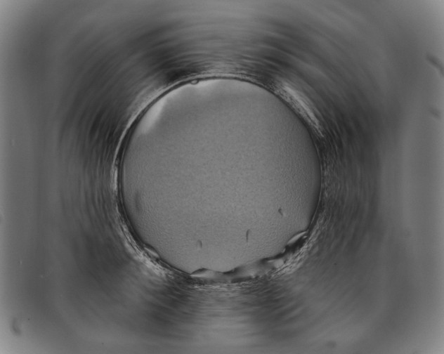 X0000097830900200804041419