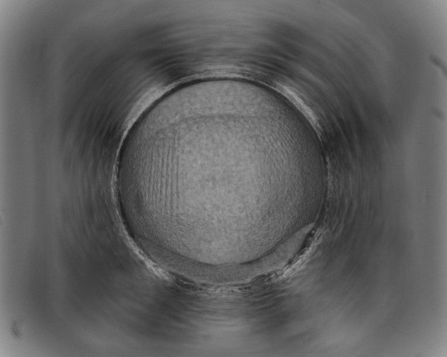 X0000097830901200804041418