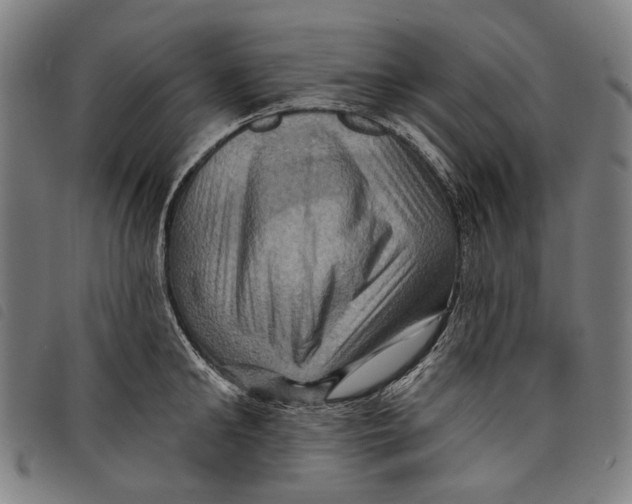 X0000097830902200804041418