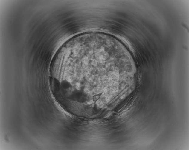 X0000097830903200804041418