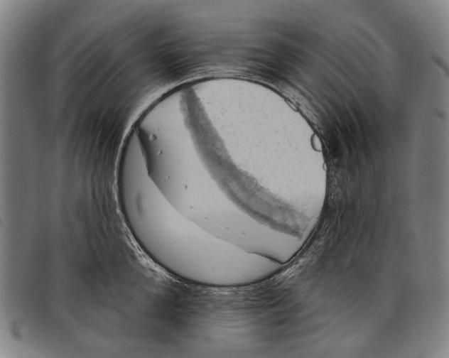 X0000097830904200804041418