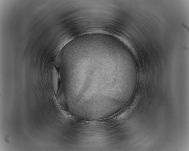 X0000097830905200804041418