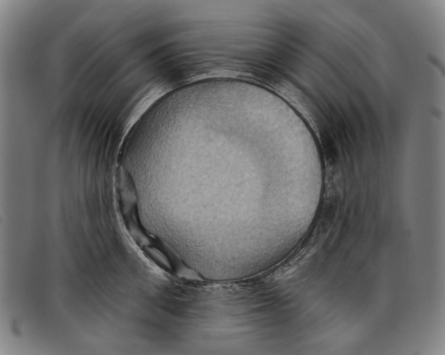 X0000097830906200804041418