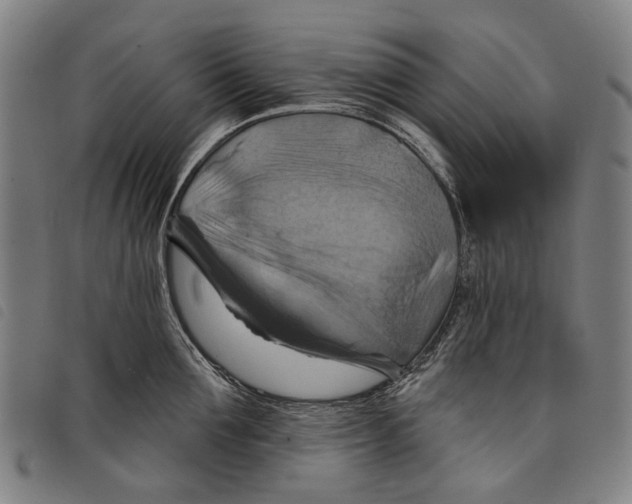 X0000097830907200804041418