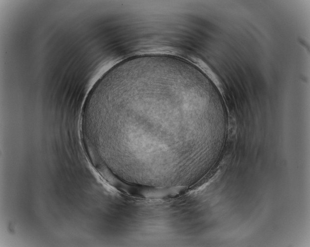 X0000097830909200804041418