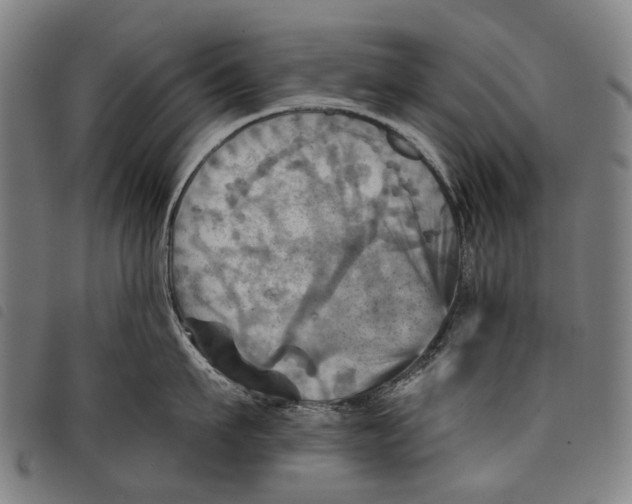 X0000097830911200804041418