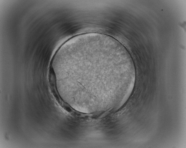 X0000097830912200804041418