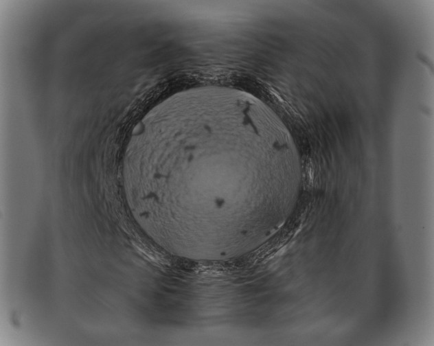 X0000097830913200804041418