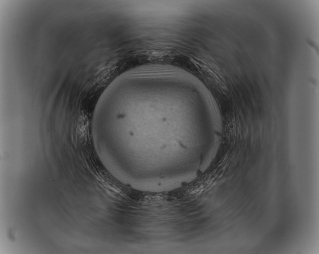 X0000097830914200804041418