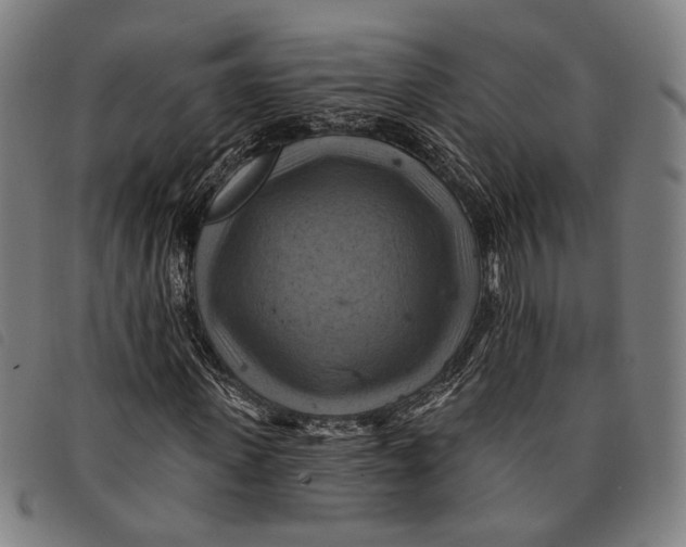 X0000097830915200804041418