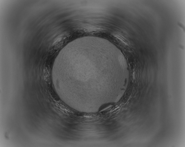 X0000097830917200804041418