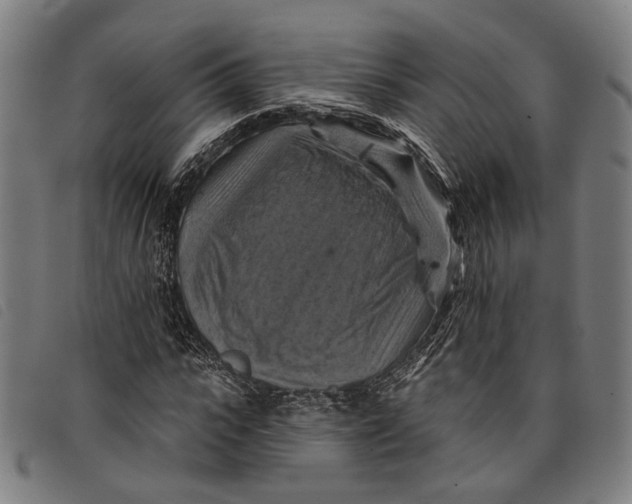 X0000097830919200804041418