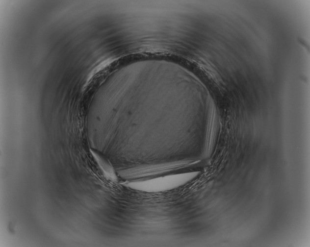 X0000097830920200804041418