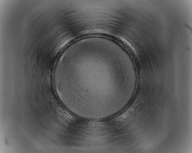 X0000097830921200804041418